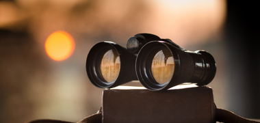 Schon and the Art of Reflection - a blog by Patrick Brook