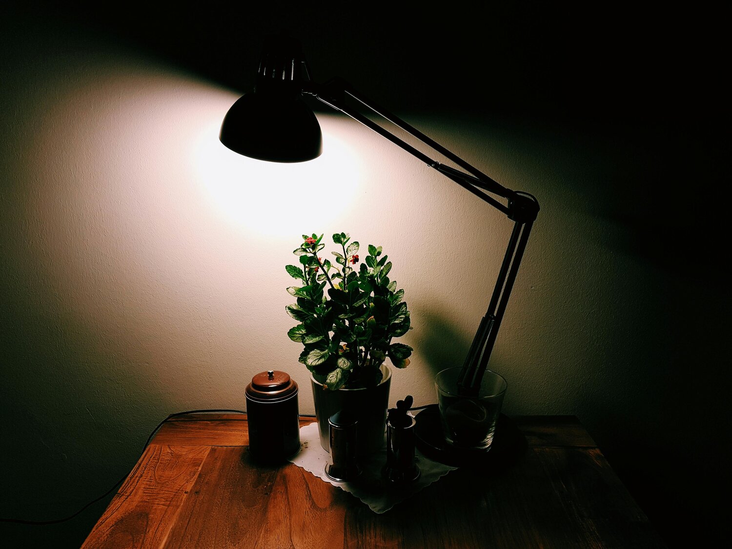 A desk lamp illuminates a small potted plant on a wooden table at night, with a teapot and glass nearby